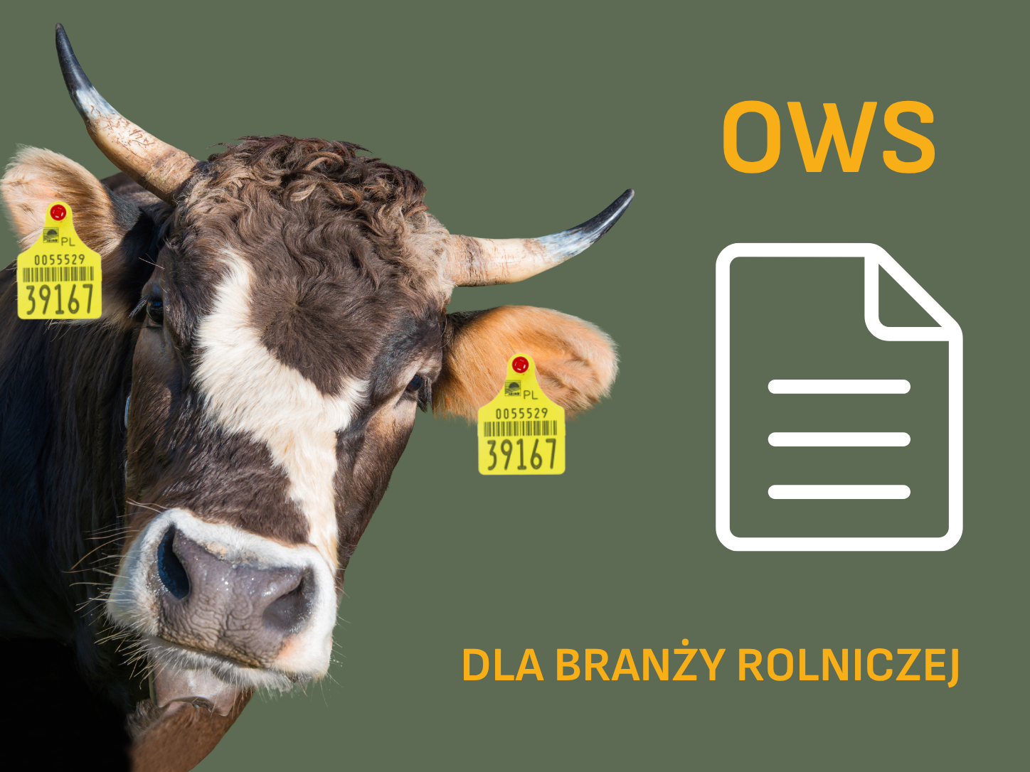 Og&oacute;lne Warunki Sprzedaży dla branży rolniczej