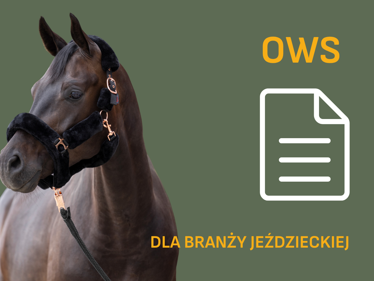 Og&oacute;lne Warunki Sprzedaży dla branży jeździeckiej