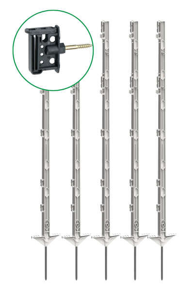 Palik Expert 156 cm